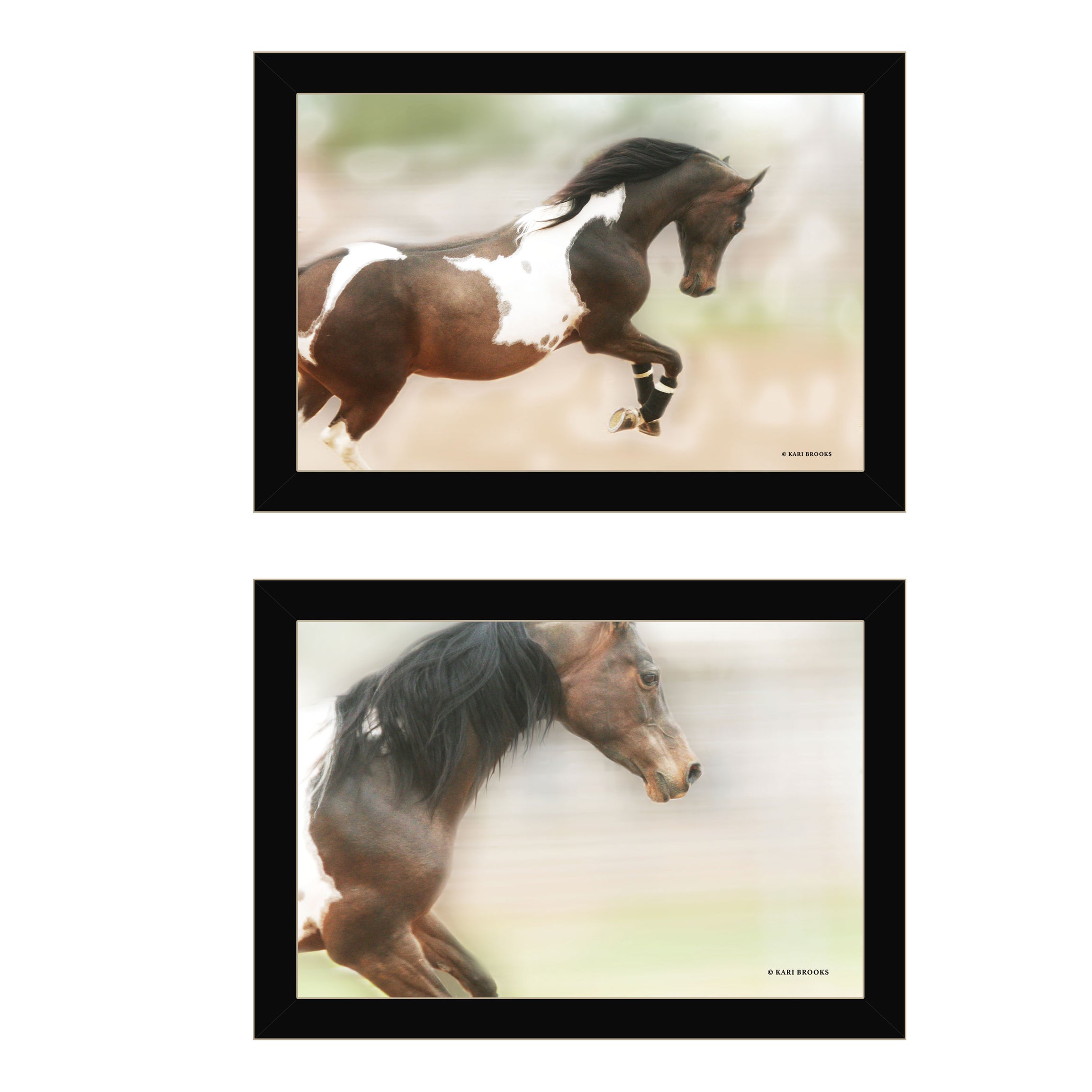 "A Wild Kookie" 2-Piece Vignette By Kari Brooks, Ready to Hang Framed Print, Horse Wall Art, Black Frame--1