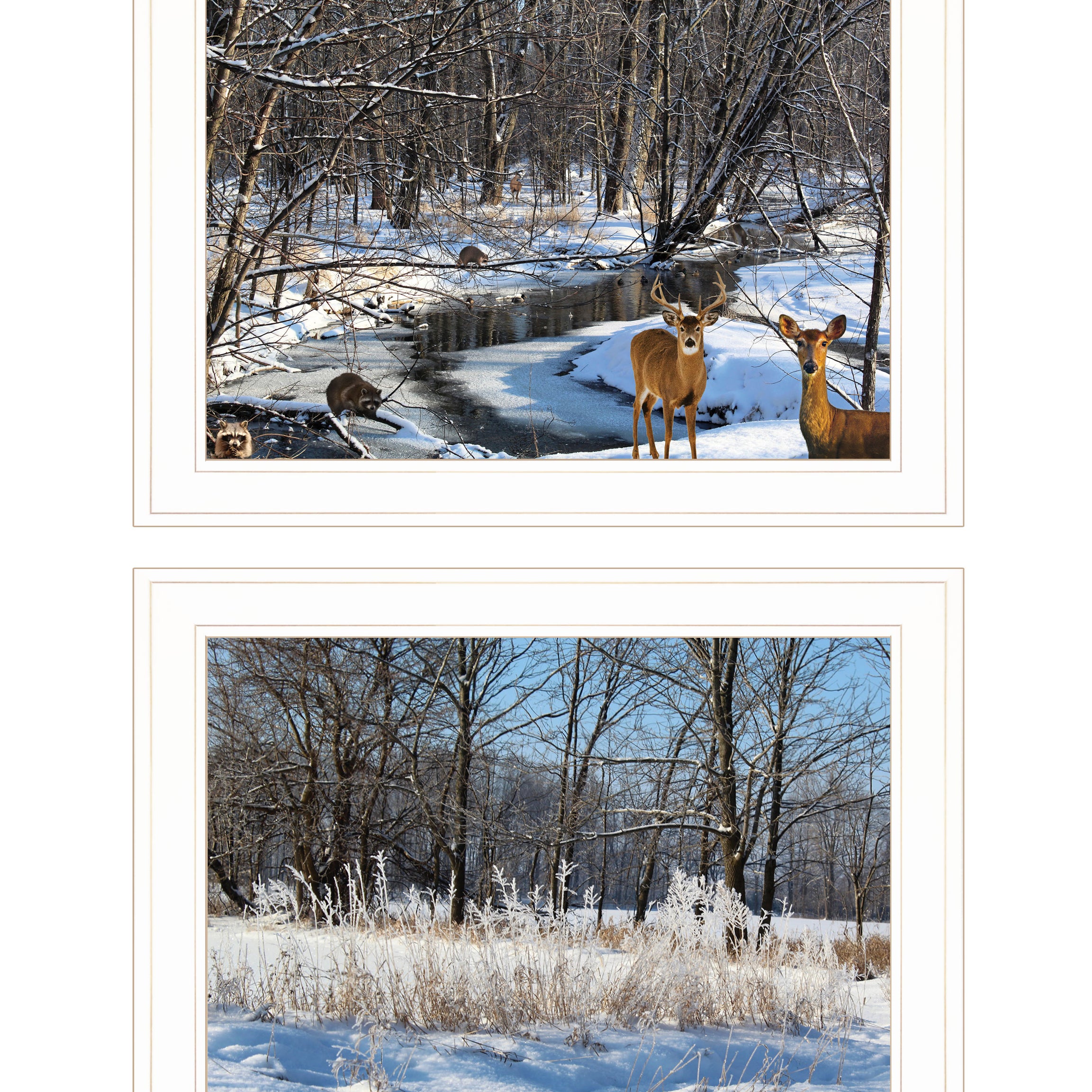 "Great Outdoors-Nature/Winter Forest" 2-Piece Vignette by Trendy Decor 4U, Ready to Hang Framed Print, White Frame--1