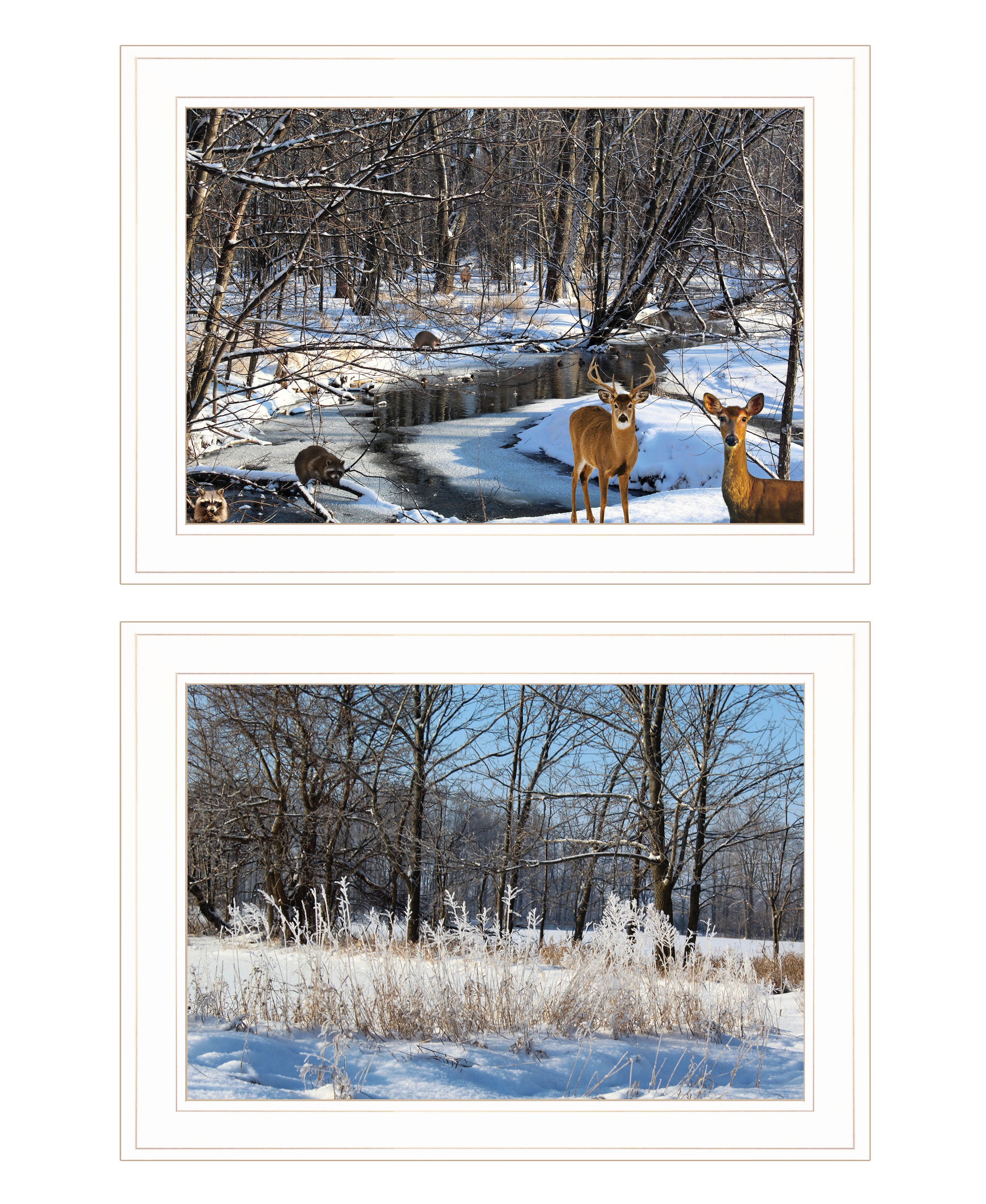 "Great Outdoors-Nature/Winter Forest" 2-Piece Vignette by Trendy Decor 4U, Ready to Hang Framed Print, White Frame--1