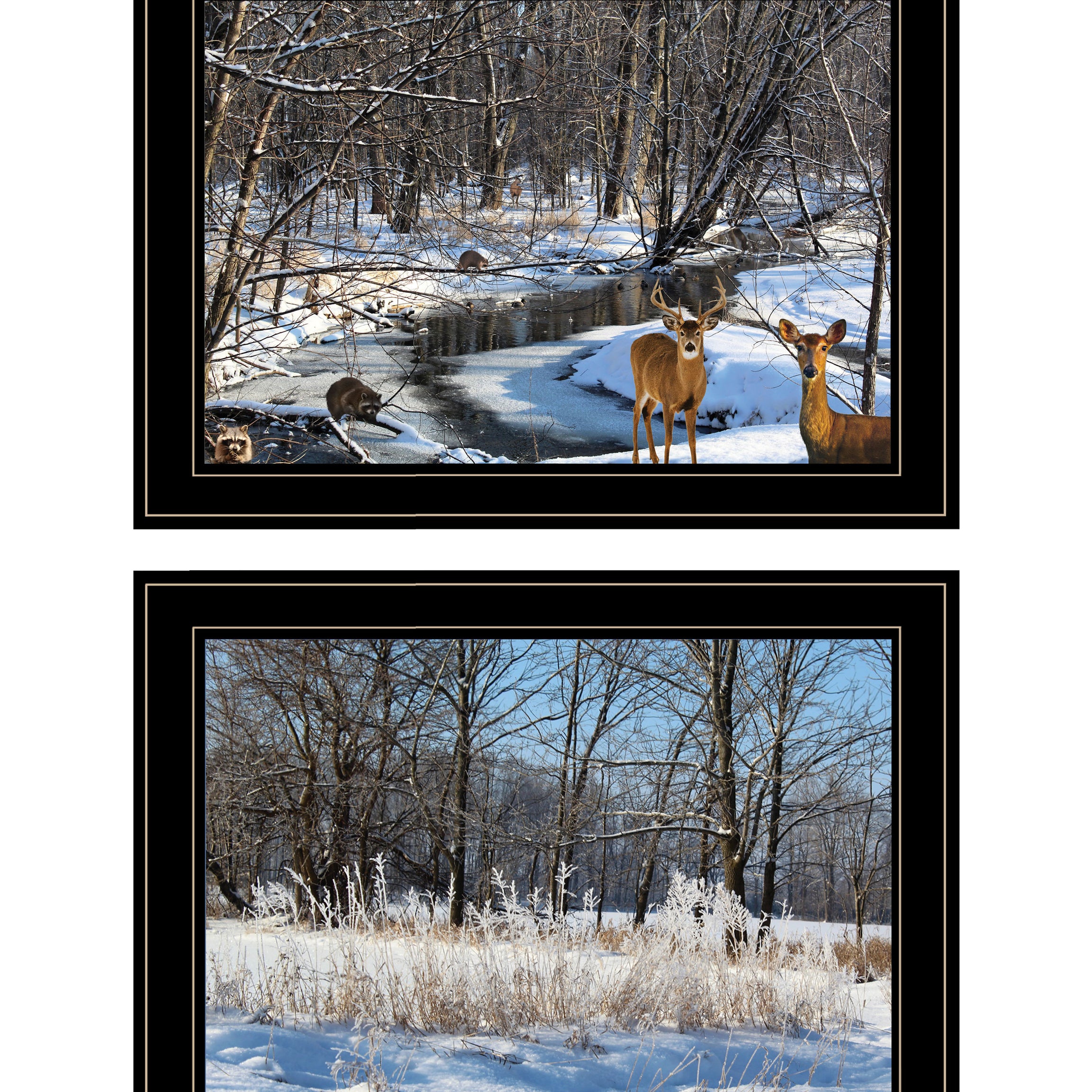 "Great Outdoors-Nature/Winter Forest" 2-Piece Vignette by Trendy Decor 4U, Ready to Hang Framed Print, Black Frame--1