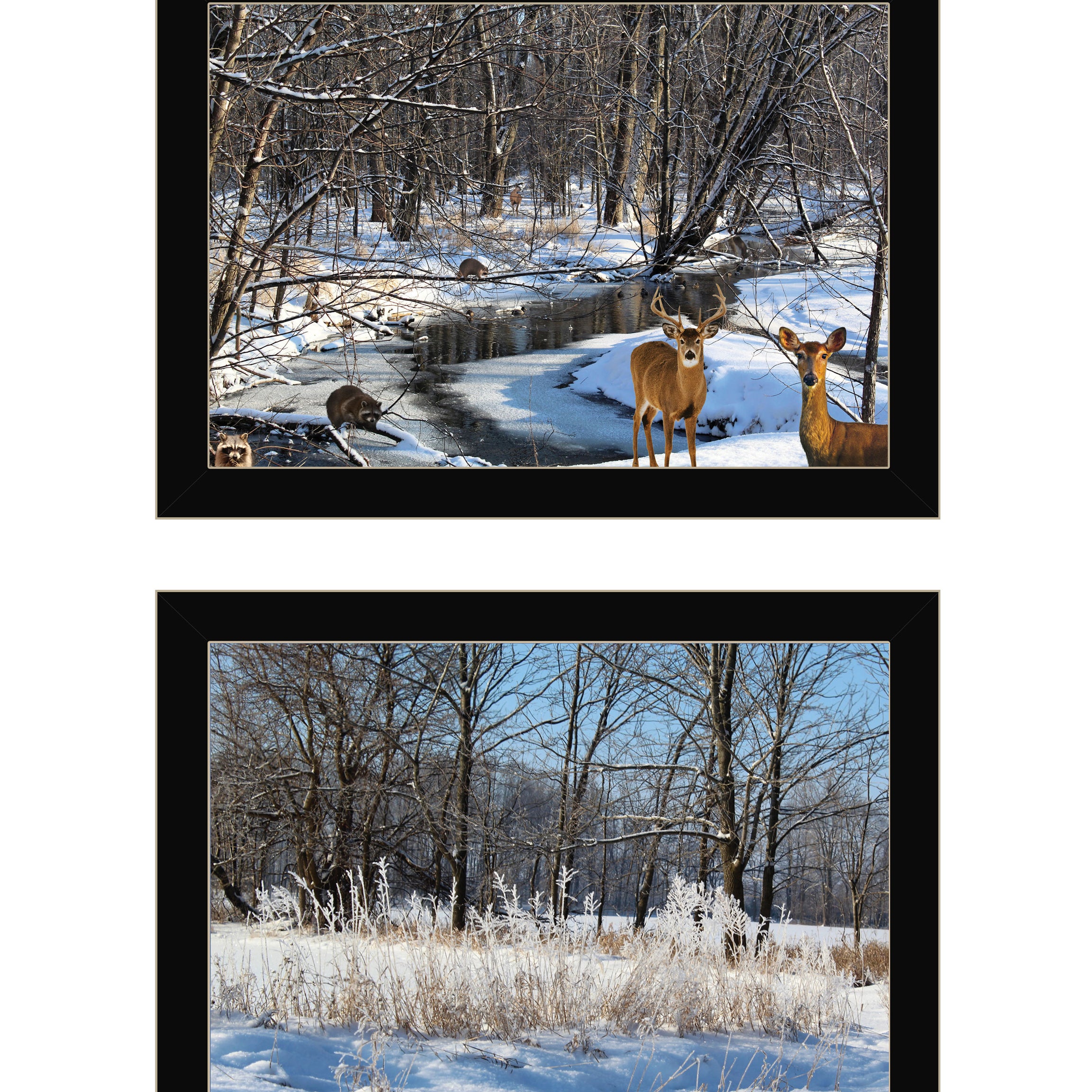 "Great Outdoors-Nature/Winter Forest" 2-Piece Vignette by Trendy Decor 4U, Ready to Hang Framed Print, Black Frame--1