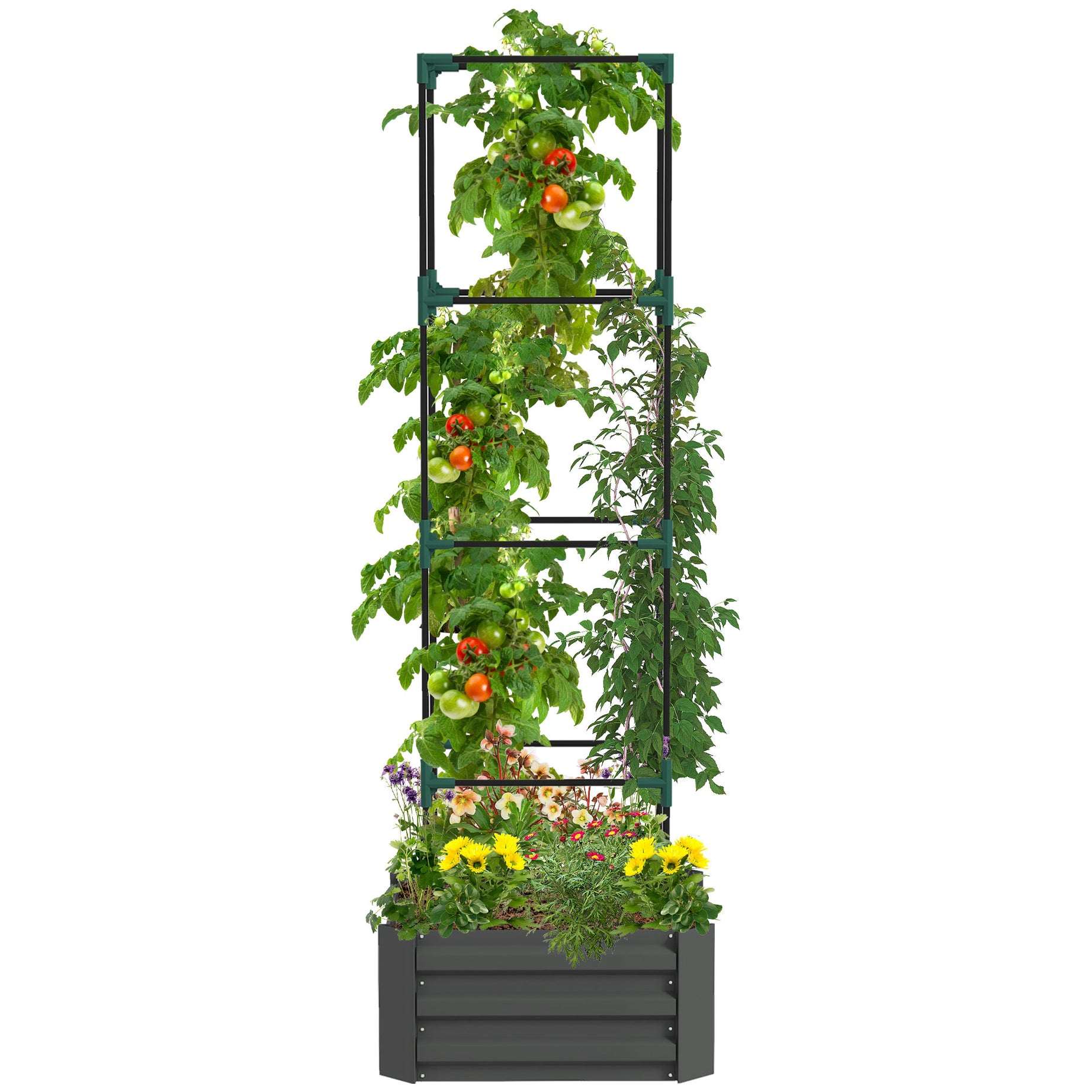 Outsunny Galvanized Raised Garden Bed, 24" x 24" x 11.75" Outdoor Planter Box with Trellis Tomato Cage and Open Bottom for Climbing Vines, Vegetables, Flowers in Backyard, Garden, Patio, Gray--1