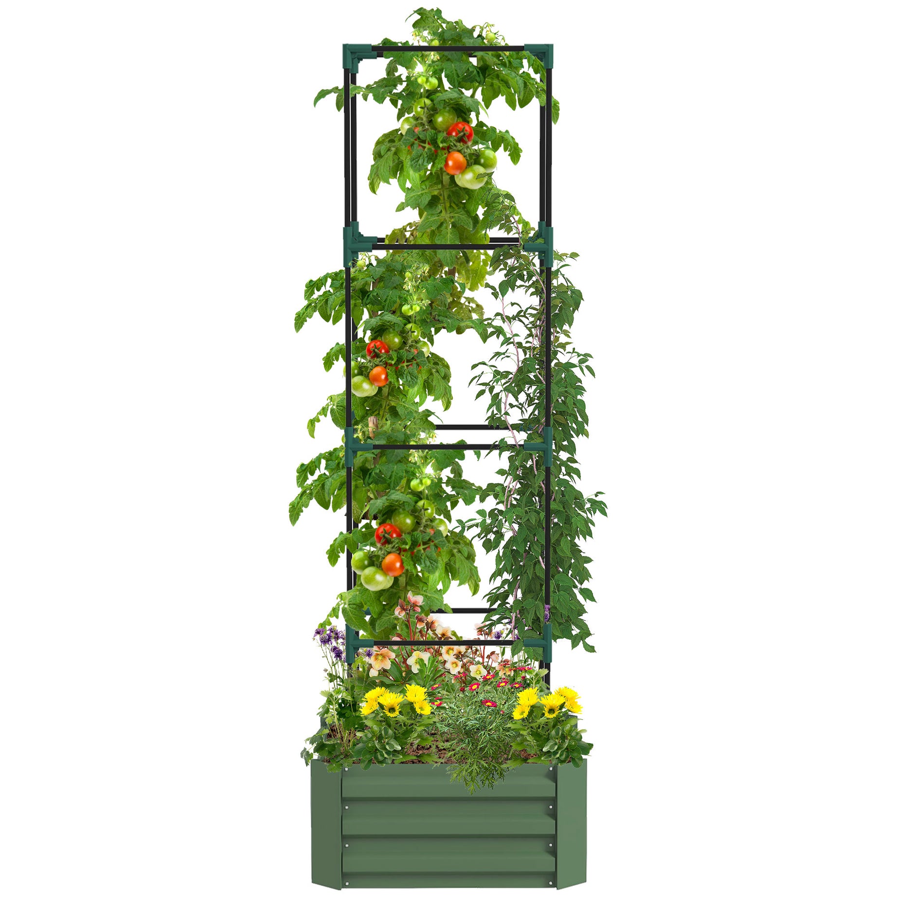 Outsunny Galvanized Raised Garden Bed, 24" x 24" x 11.75" Outdoor Planter Box with Trellis Tomato Cage and Open Bottom for Climbing Vines, Vegetables, Flowers in Backyard, Garden, Patio, Green--1