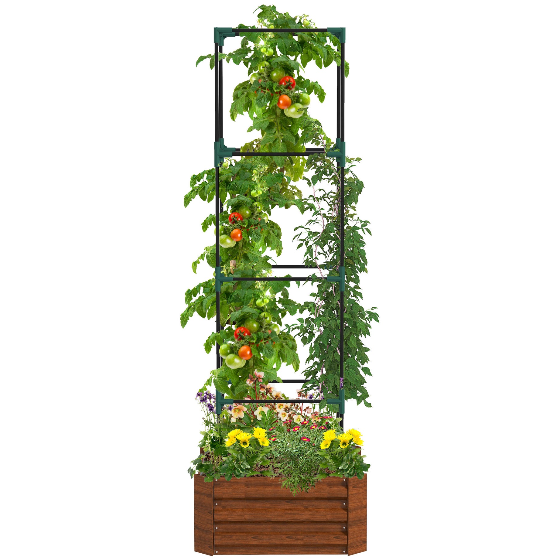 Outsunny Galvanized Raised Garden Bed, 24" x 24" x 11.75" Outdoor Planter Box with Trellis Tomato Cage and Open Bottom for Climbing Vines, Vegetables, Flowers in Backyard, Garden, Patio, Brown--1